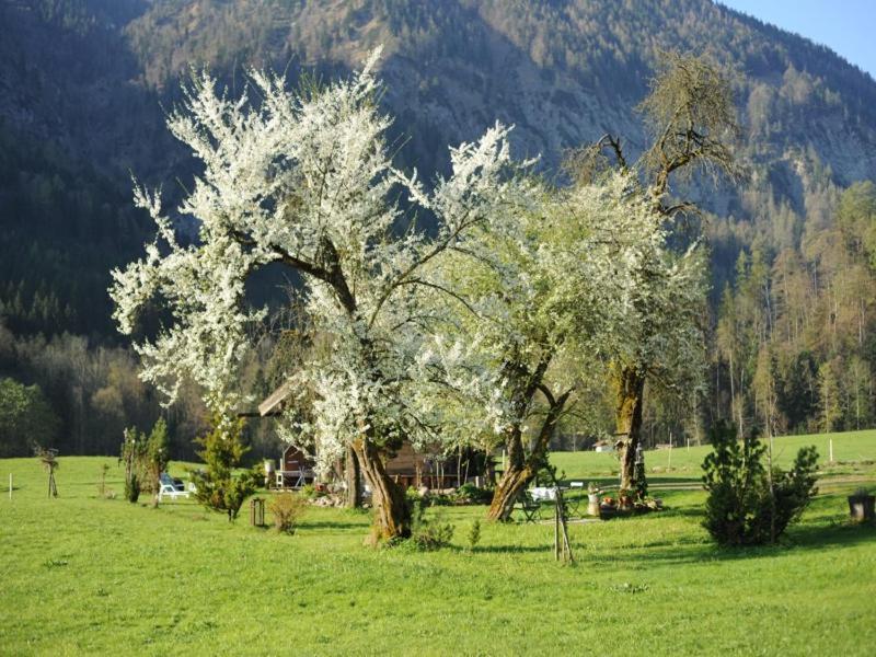 Hansenbauernhof Ruhpolding Exterior foto